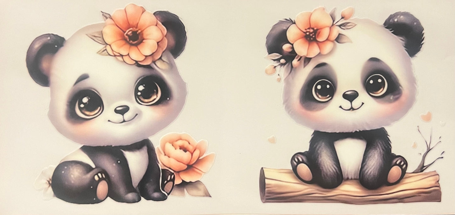 Panda 1