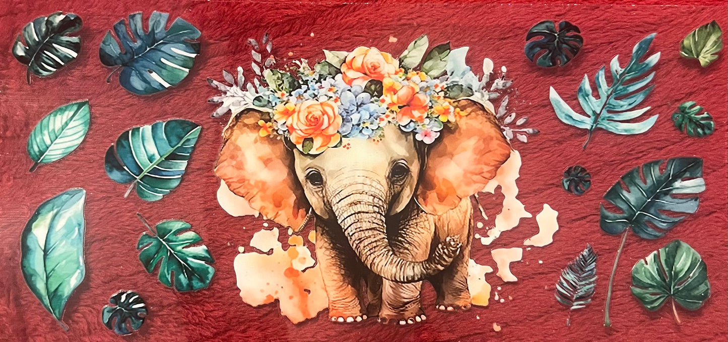 Elephant 5