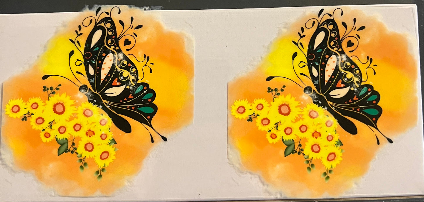 Butterfly 7