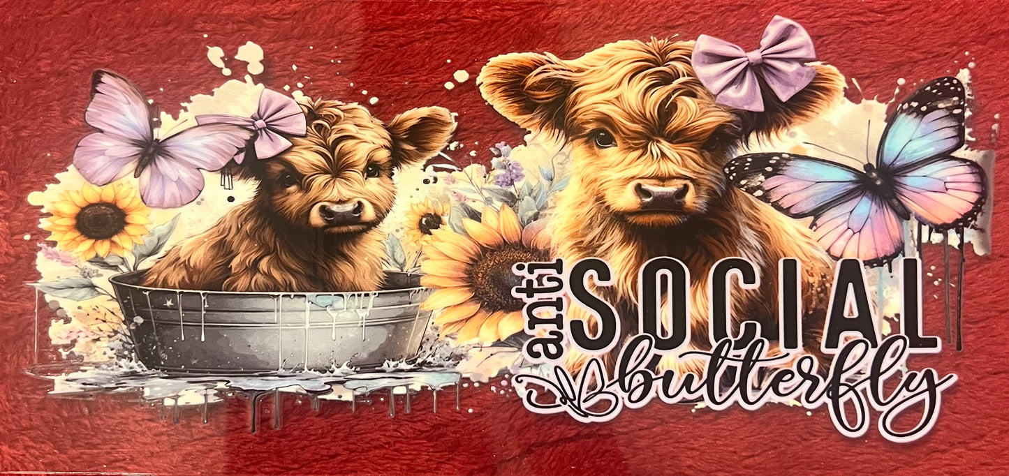 Cow 5 highland
