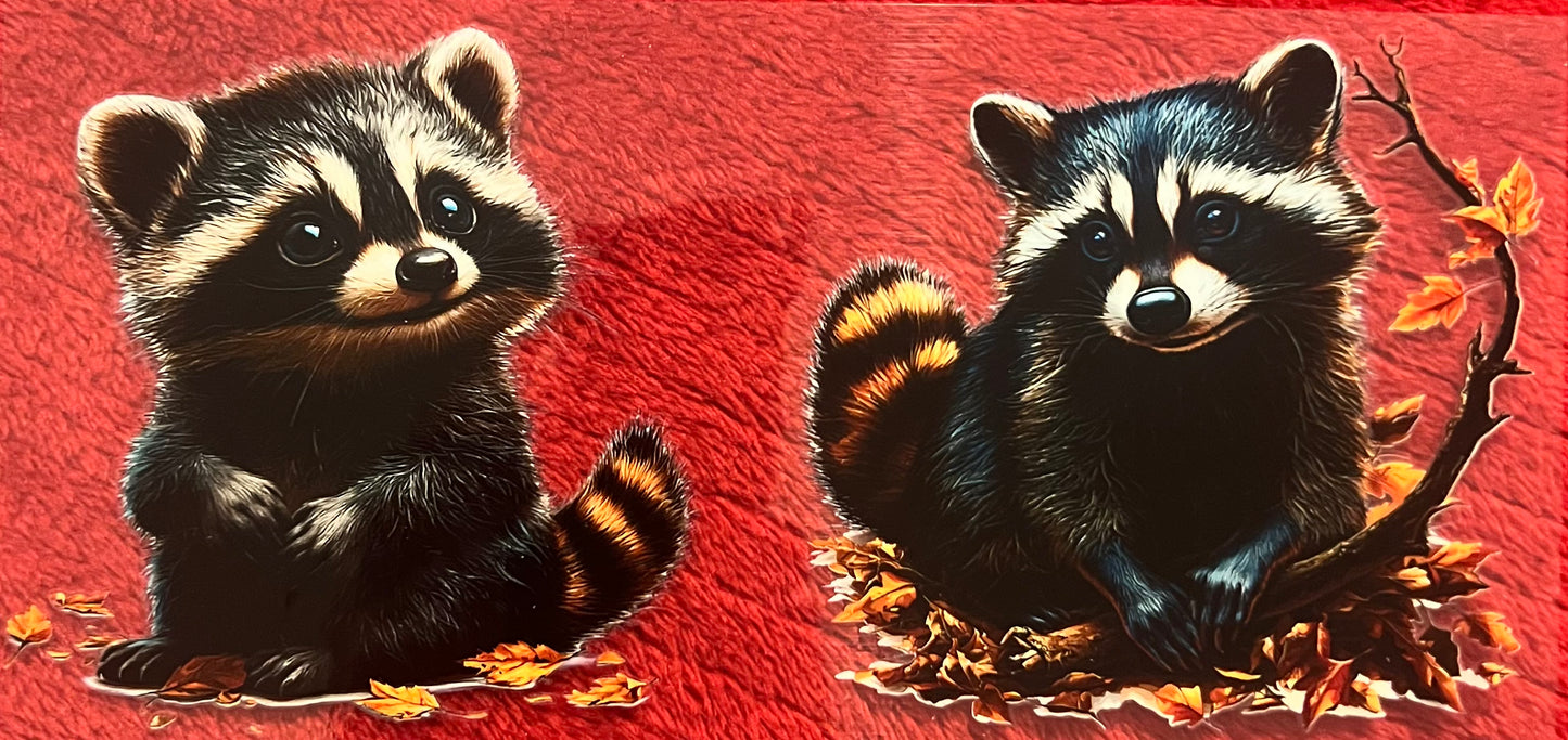 Raccoon 1
