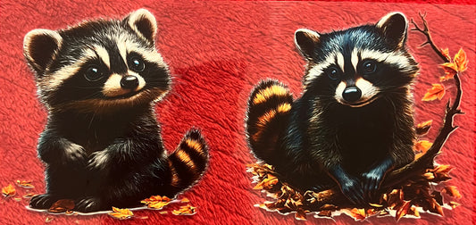 Raccoon 1