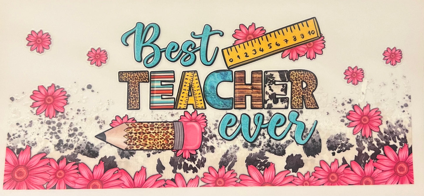 Teacher 5