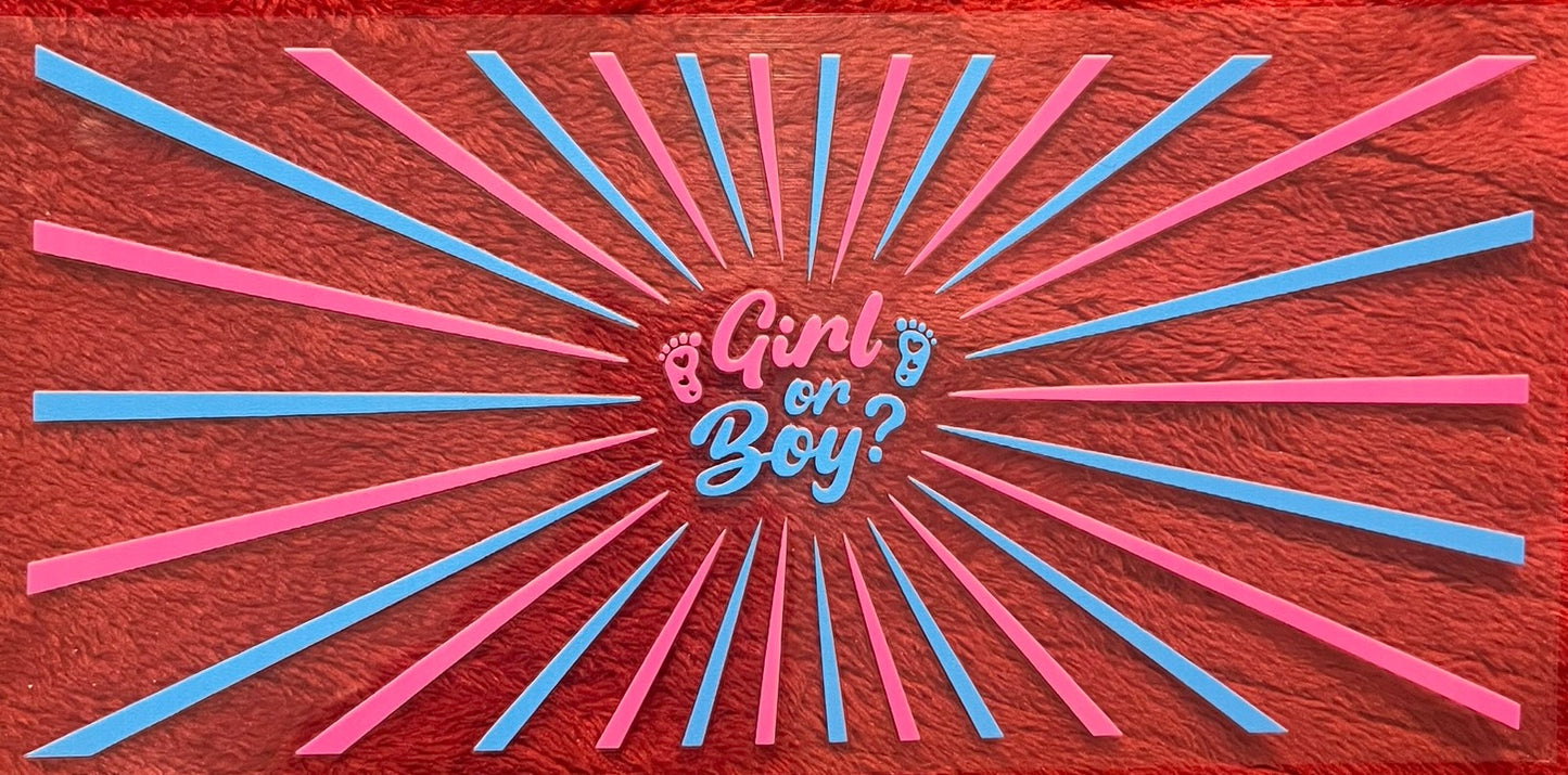 Gender reveal 1