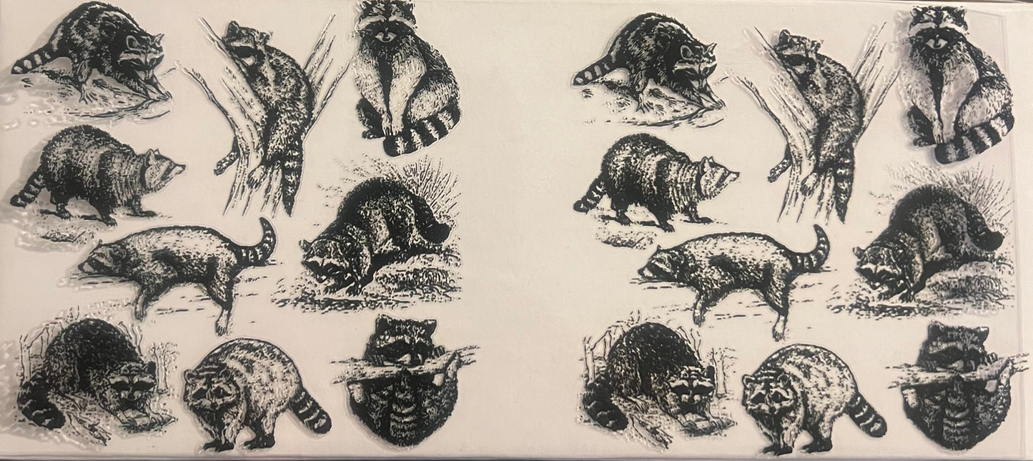 Raccoon 2