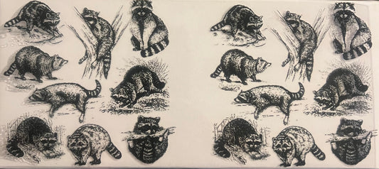 Raccoon 2