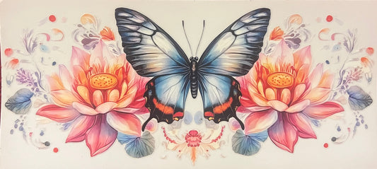 Butterfly 4
