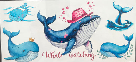 Sea10 whale
