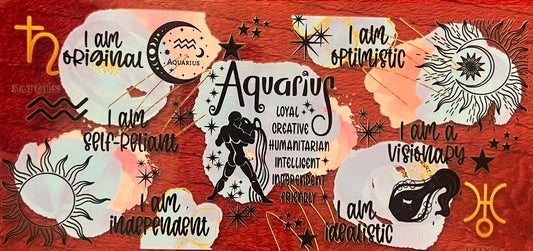 Aquarius 2