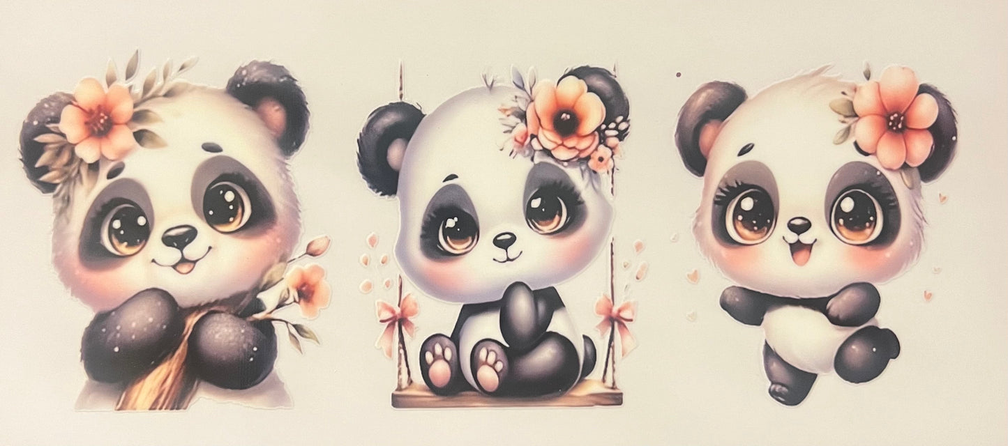 Panda 5