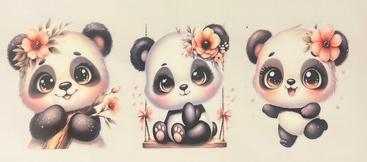 Panda 5